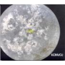 KONVOJ - Pun mjesec, 2005 (CD) KONVOJ - Pun mjesec, 2005 (CD)
